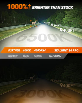 SEALIGHT bulb submerged demonstrating IP68 resistance and all-weather reliability
