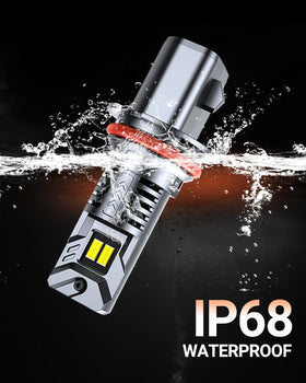 SEALIGHT 9007/HB5 in night-driving scene showing improved road illumination benefit