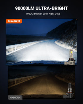 SEALIGHT beam pattern on dark road demonstrating focused longer-range illumination