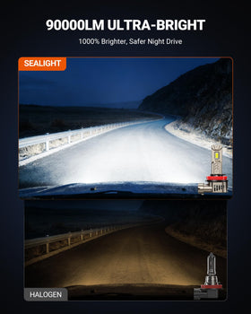 SEALIGHT beam pattern on road showing clearer night vision