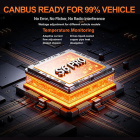 SEALIGHT night road beam pattern illustrating improved visibility
