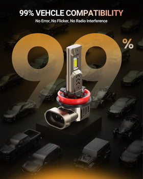 SEALIGHT four-bulb pack in a car at night illustrating brighter roadway illumination