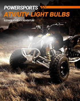 SEALIGHT night driving scene showing cool white 6000K light improving visibility