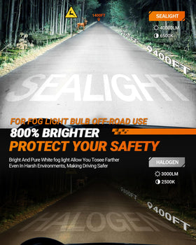 SEALIGHT close-up of LED array highlighting CSP chips for intense illumination