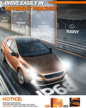 SEALIGHT night road scene illustrating stronger illumination and safety