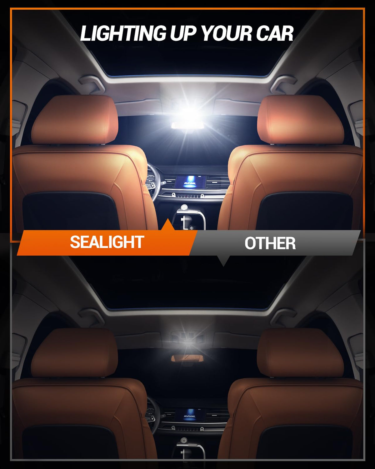 SEALIGHT side profile showing 41mm and 42mm size for easy fitment