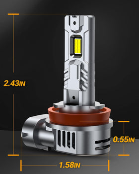 SEALIGHT two-pack unboxed view highlighting included bulbs and accessories