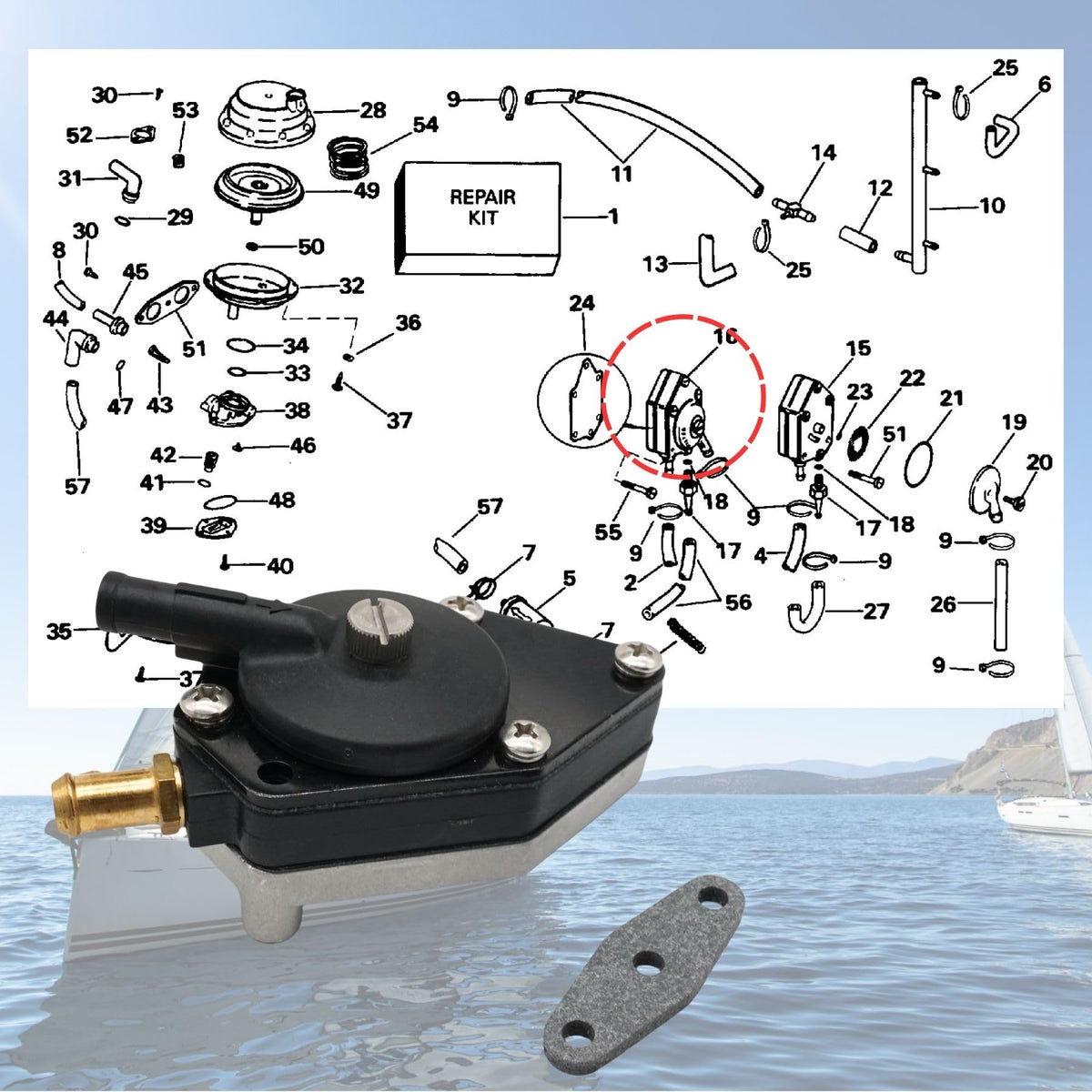 SeaSierra pump installed in outboard engine demonstrating straightforward swap