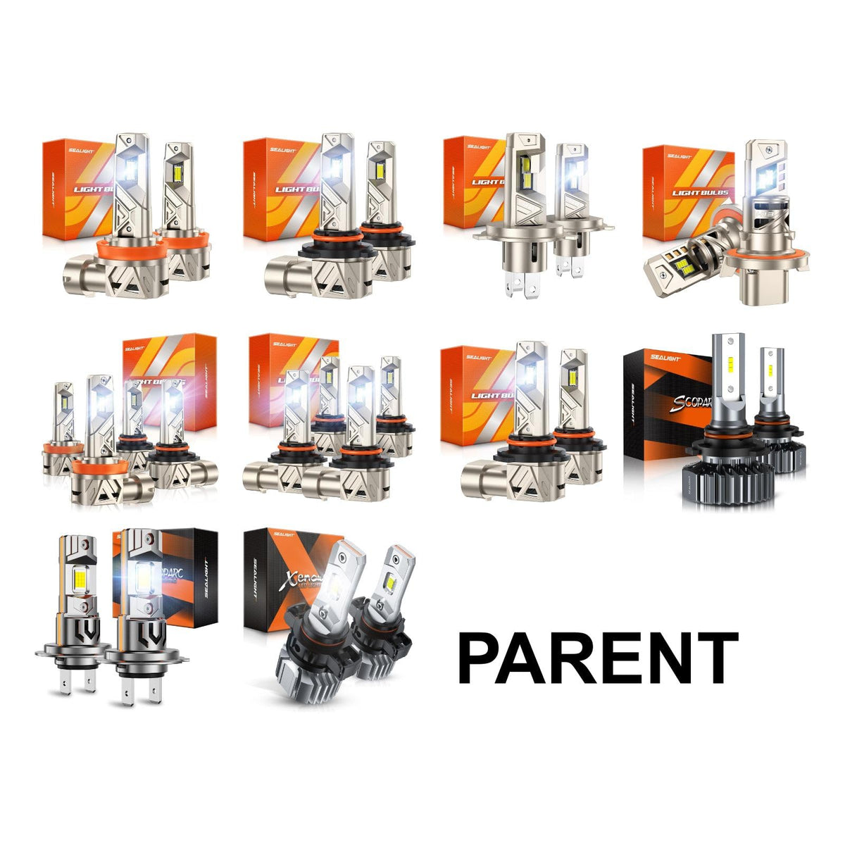 SEALIGHT 5202 next to halogen bulb showing compact high-performance design