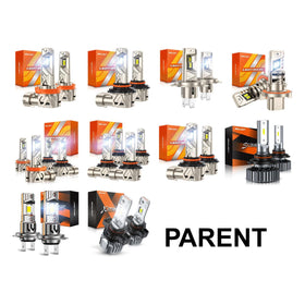 SEALIGHT 5202 next to halogen bulb showing compact high-performance design