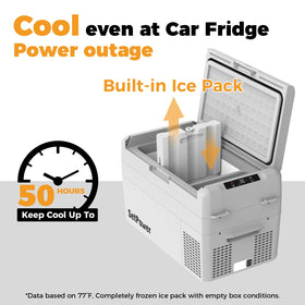 Setpower RF25 open top with beverages inside showing organized interior and capacity