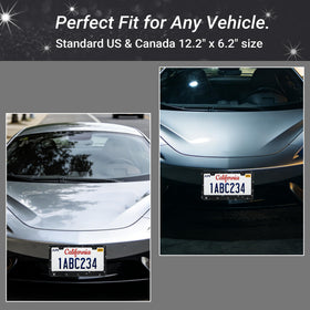 Shering installed on car rear demonstrating consistent sparkle on both plates