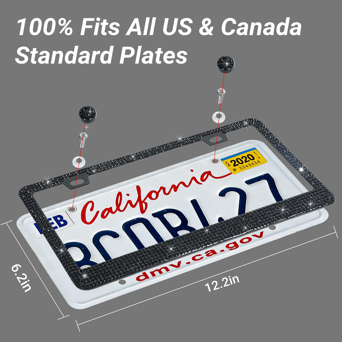 Shering size comparison with ruler showing standard US plate fit and scale