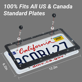 Shering size comparison with ruler showing standard US plate fit and scale