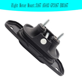 sherxibo mount beside ruler size comparison for accurate selection