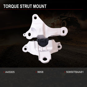 sherxibo mount installed in Civic engine bay ensuring correct alignment and ease of fitment