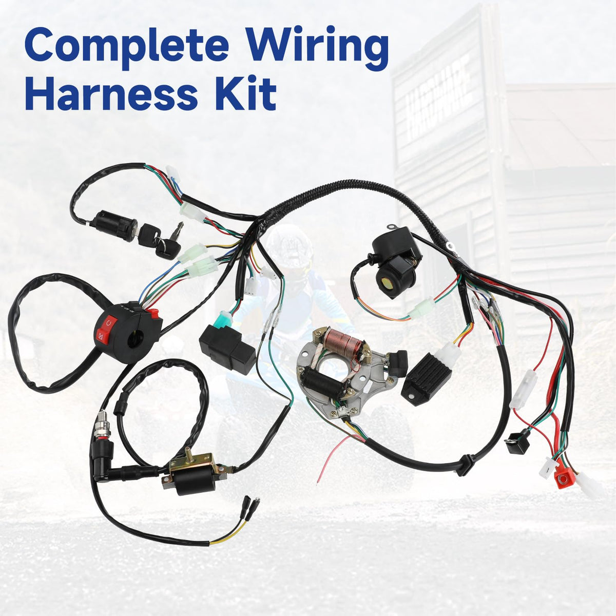 SHIQINHA full wiring harness spread out, benefit of organized connectors for straightforward installation