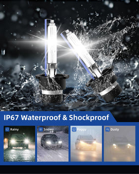 Sinoparcel retail packaging with two bulbs showing complete twin-bulb replacement benefit