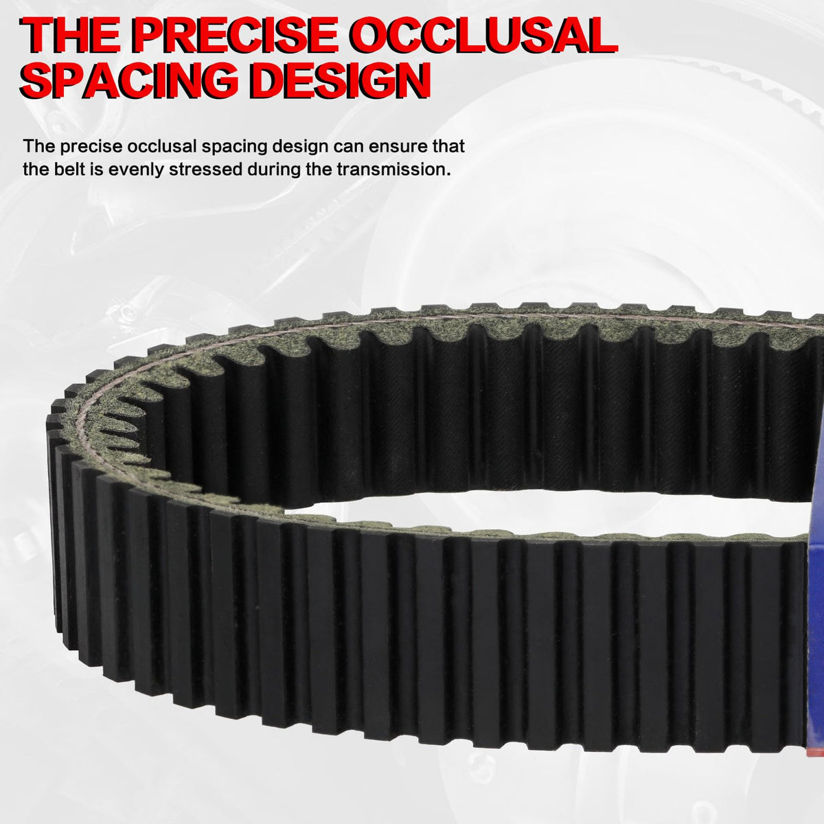 smotrcc belt beside ruler showing exact scale and dimensions for correct replacement