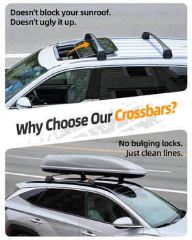Snailfly demonstrating panoramic sunroof clearance ensuring unobstructed operation