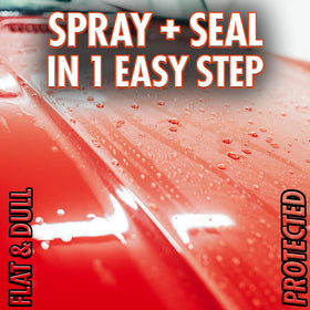 SONAX applied to trim and chrome restoring appearance and sealing