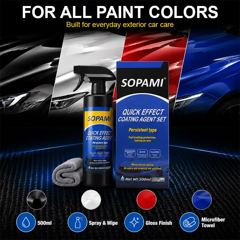 SOPAMI buffed shiny panel detail showing restored gloss and depth