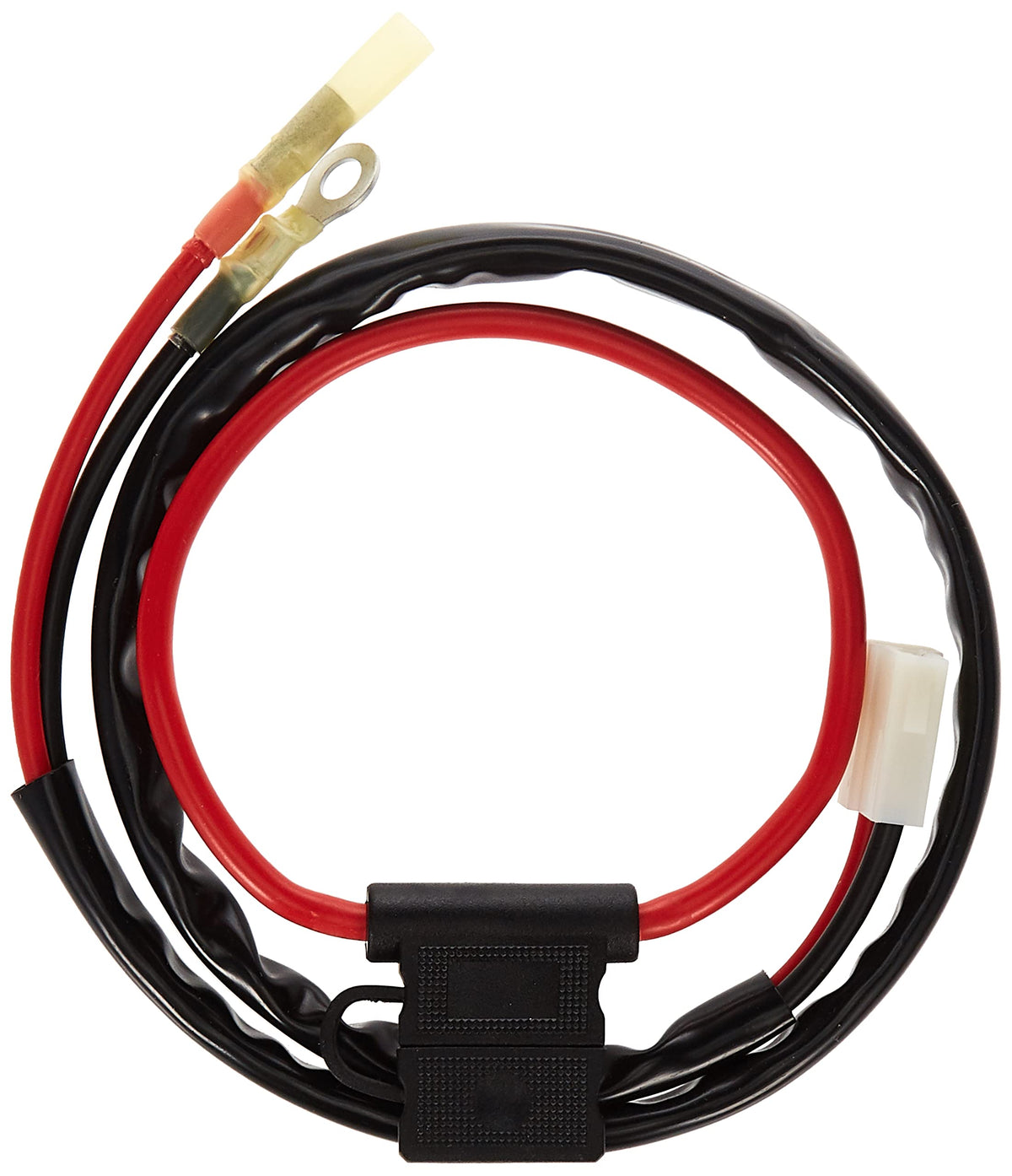 Spal harness installed under hood demonstrating tidy routing and protection