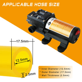 steauty size comparison with jerry can highlighting portable scale and storage ease