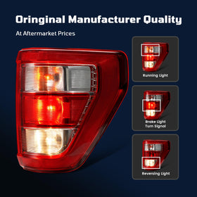 STRAUTOS rear connector and bulb sockets view enabling quick plug-and-play benefit