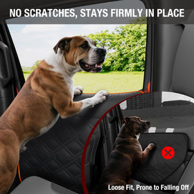 Surfcabin protectors in truck at trailhead highlighting outdoor travel protection