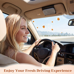 Swiffen stone placed on car dashboard in lifestyle shot showing cabin freshness benefit