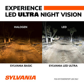 SYLVANIA H11 beside a coin showing compact size for tight housings
