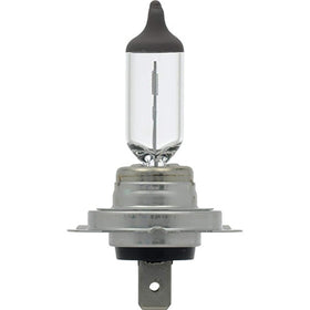 SYLVANIA H7 two bulbs removed from pack showing both units included for replacement pair