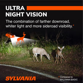 SYLVANIA nighttime road scene showing clearer sign visibility