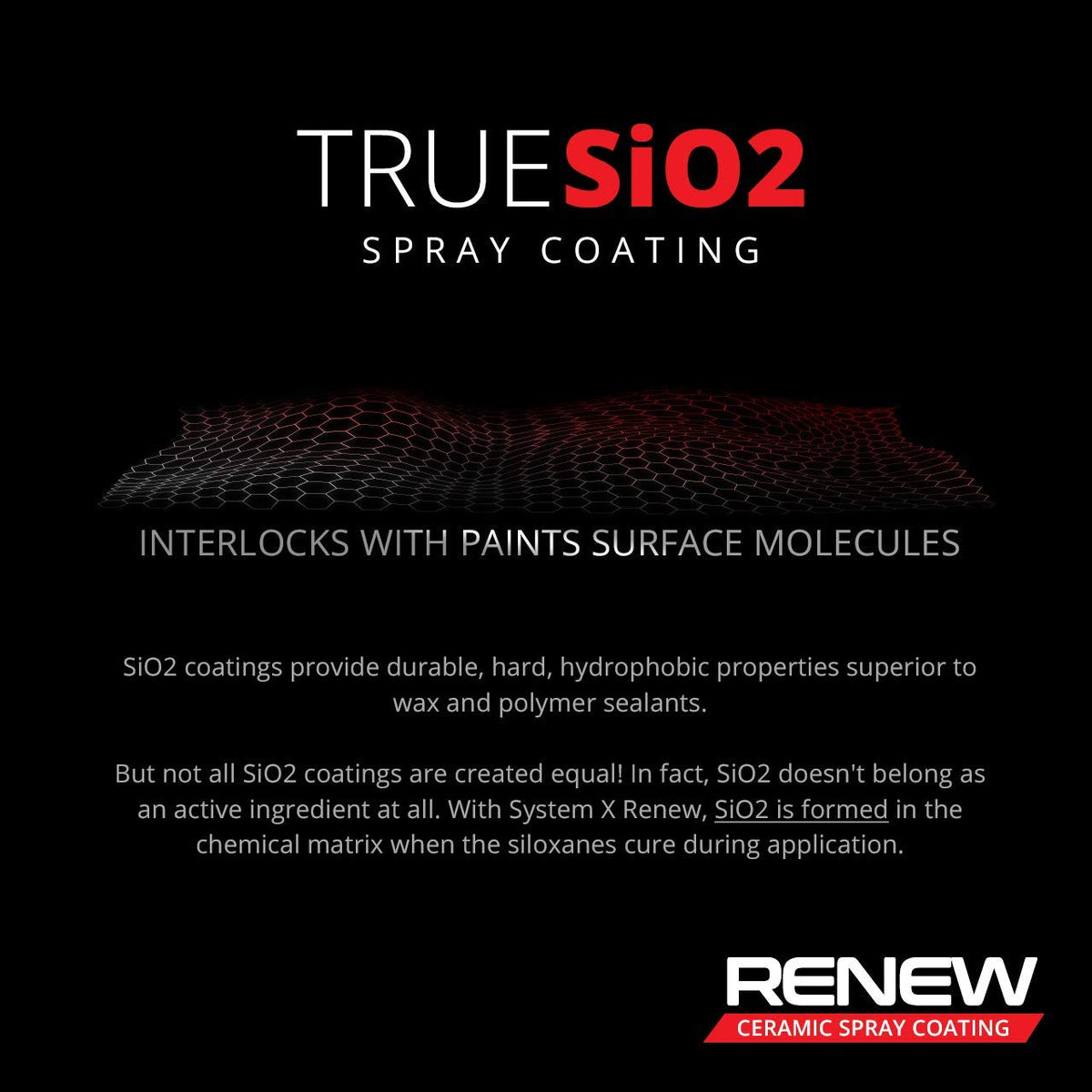 System X Renew coated paint sheen detail highlighting enhanced gloss and depth