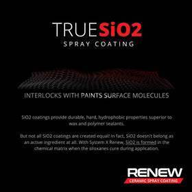 System X Renew coated paint sheen detail highlighting enhanced gloss and depth