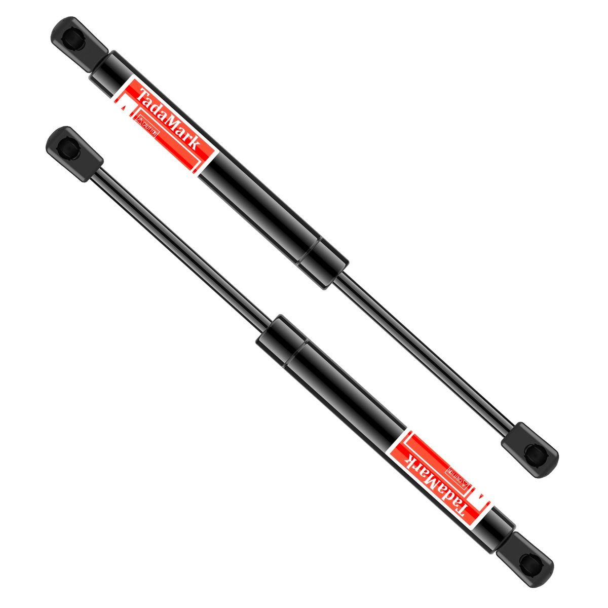 TadaMark front view of rear trunk struts showing fit for Dodge Challenger and easy replacement