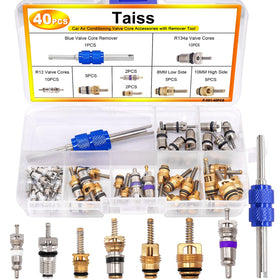 Taiss valve core remover tool in hand for safe quick removal