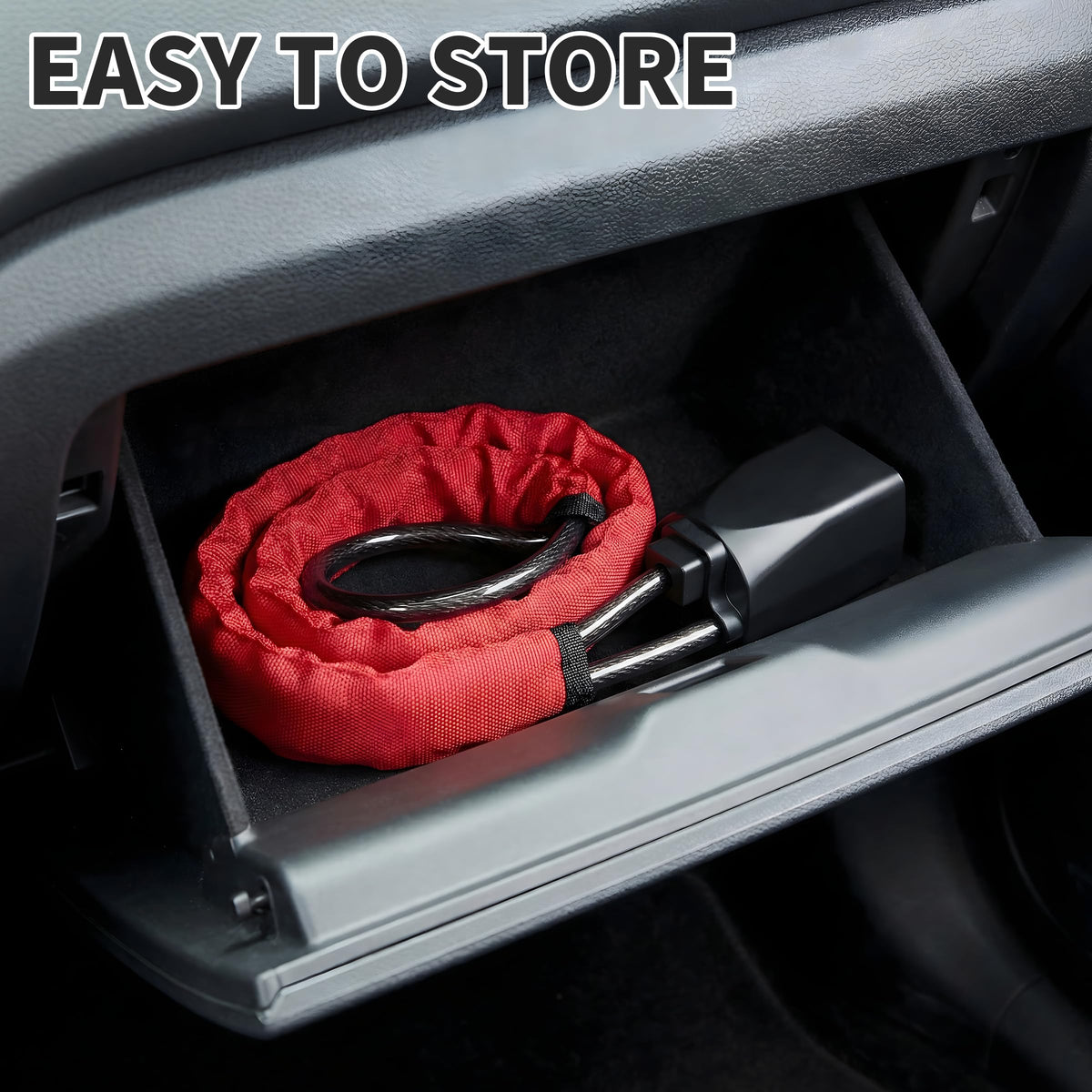 TaShow installed in parked car showing visible deterrent for opportunistic thieves