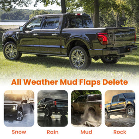 TECHPICCO lifestyle shot of Ford F150 rear showcasing streamlined appearance