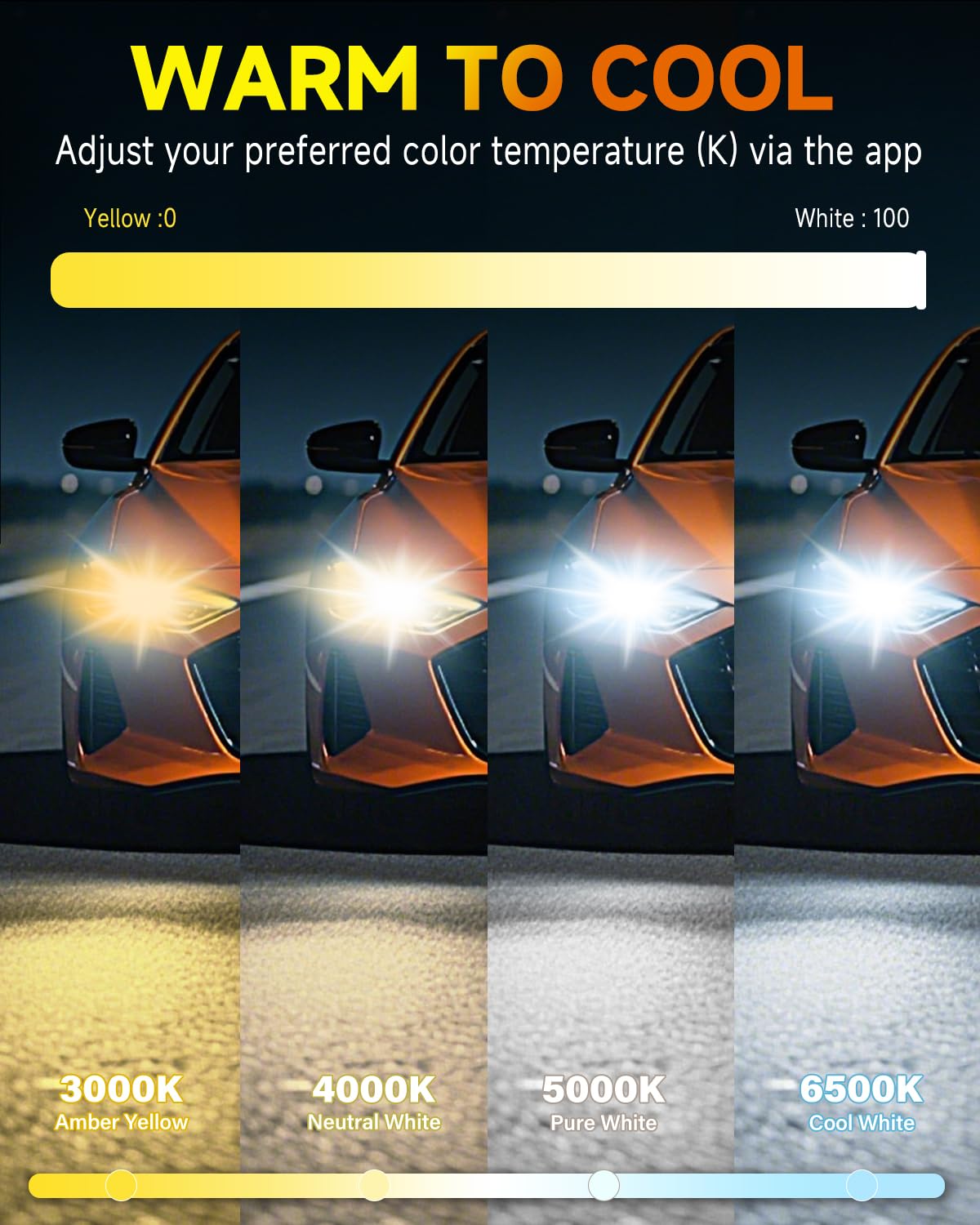 Termitor beam pattern with sharp cutoff improving road safety