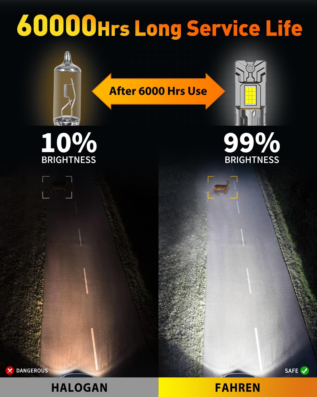 Termitor label showing DOT approval for compliant road use and safety