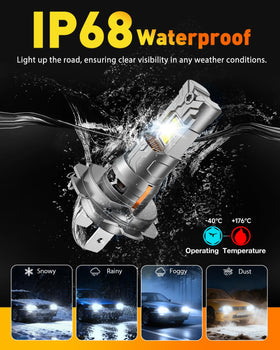 Termitor two-bulb set matching light color and balanced performance
