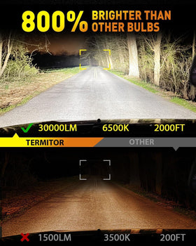 Termitor LED chip close-up highlighting bright 6500K cool white output