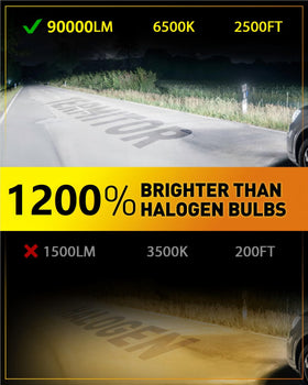 Termitor LED chip close-up highlighting bright 12-chip array performance