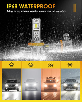 Termitor waterproof IP68 test image demonstrating weatherproof reliability
