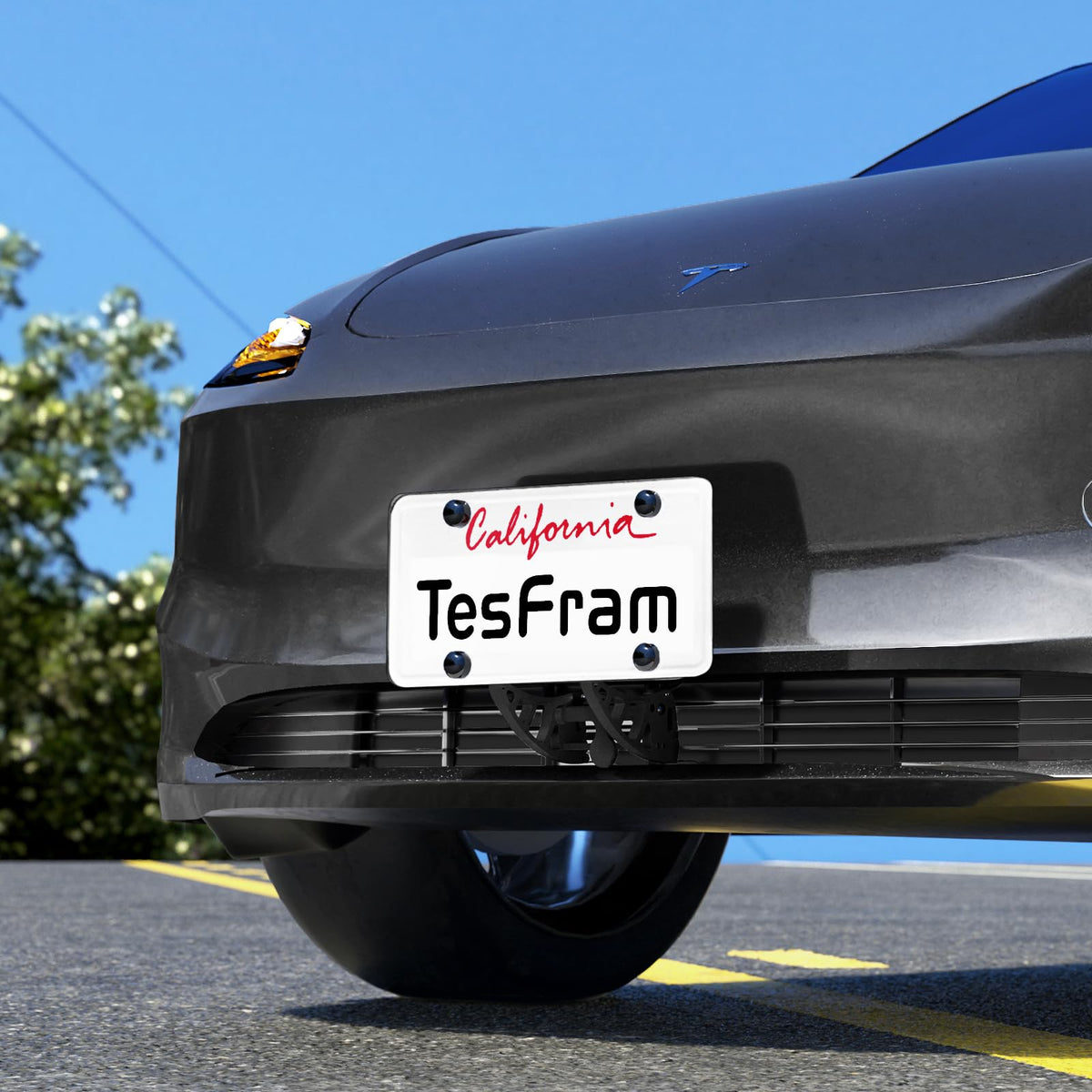 TesFram height adjustment detail demonstrating customizable plate position
