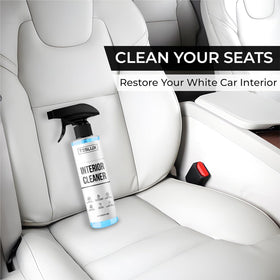 TesLux used on door panel detail cleaning seams and trim safely