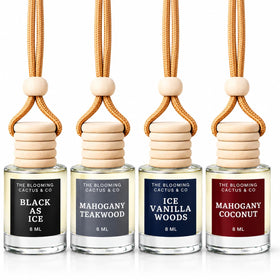 The Blooming Cactus & Co. front pack view showing four hanging diffusers and branding benefit: decorative scent