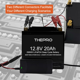 THEPRO closeup label with specifications showing correct voltage and current